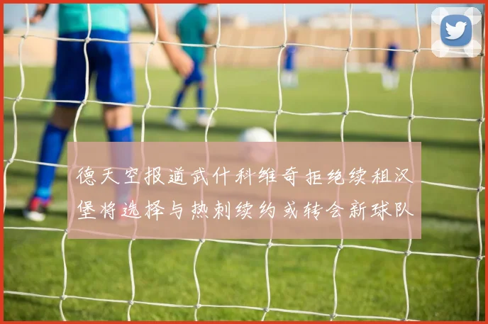 德天空报道武什科维奇拒绝续租汉堡将选择与热刺续约或转会新球队